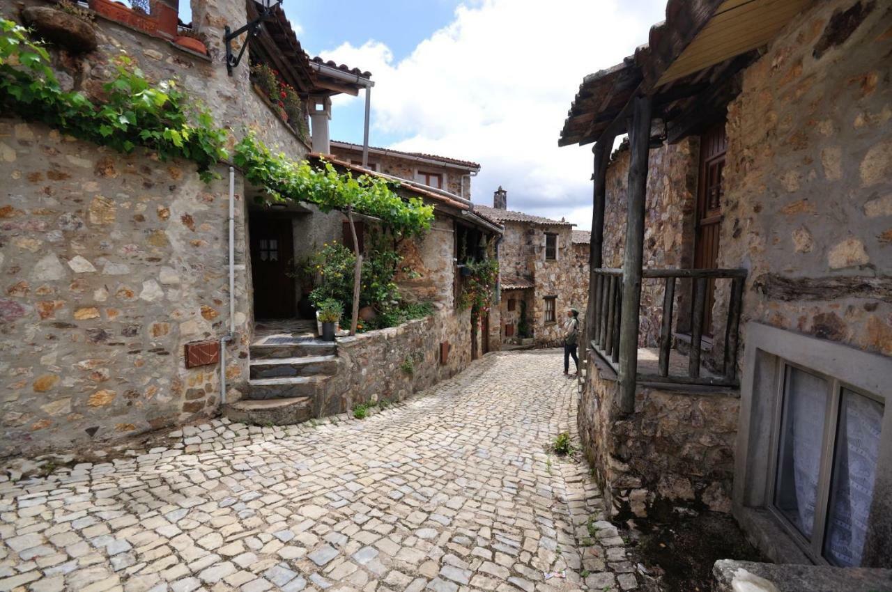 Casa Do Olival Villa Figueiro Dos Vinhos Buitenkant foto