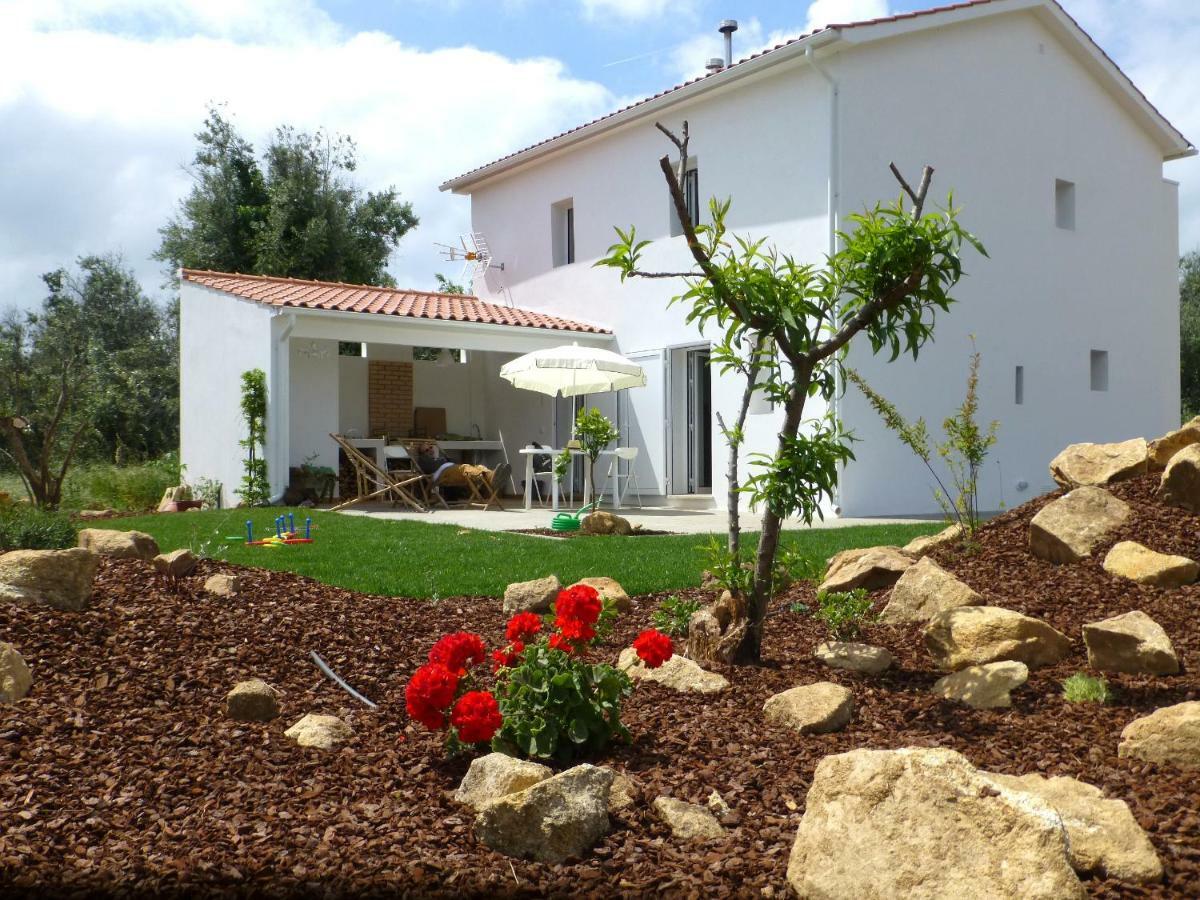 Casa Do Olival Villa Figueiro Dos Vinhos Buitenkant foto