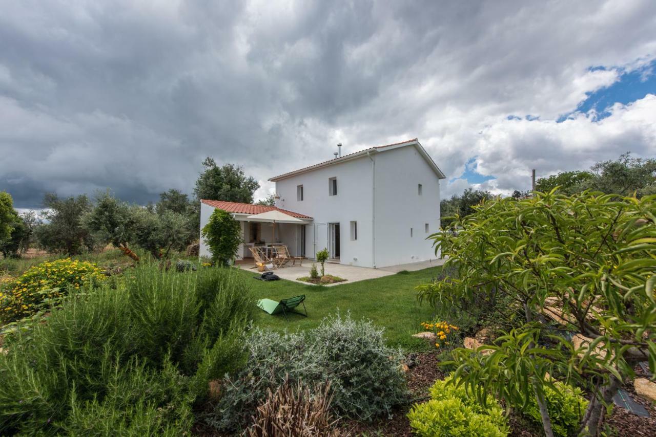 Casa Do Olival Villa Figueiro Dos Vinhos Buitenkant foto
